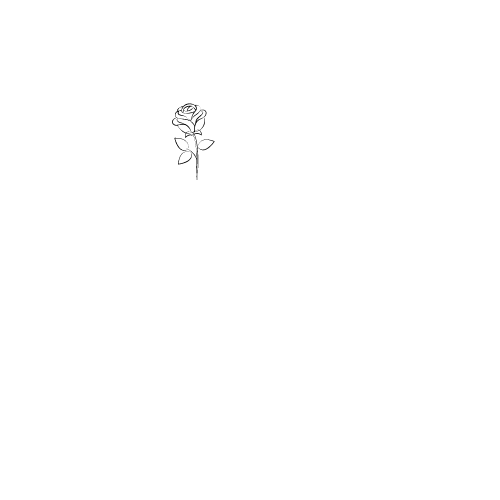 TheSilkVelvet